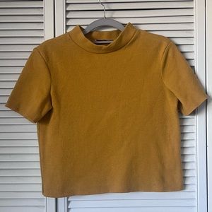 Zara Trafaluc Cropped Short Sleeve Top